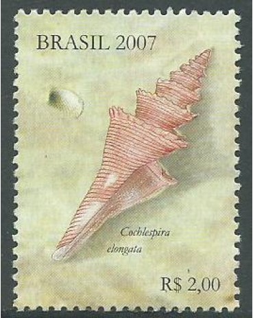 C2691 CONCHAS  MARÍTIMAS, DO BLOCO 145 - 2007 10.868 Mint